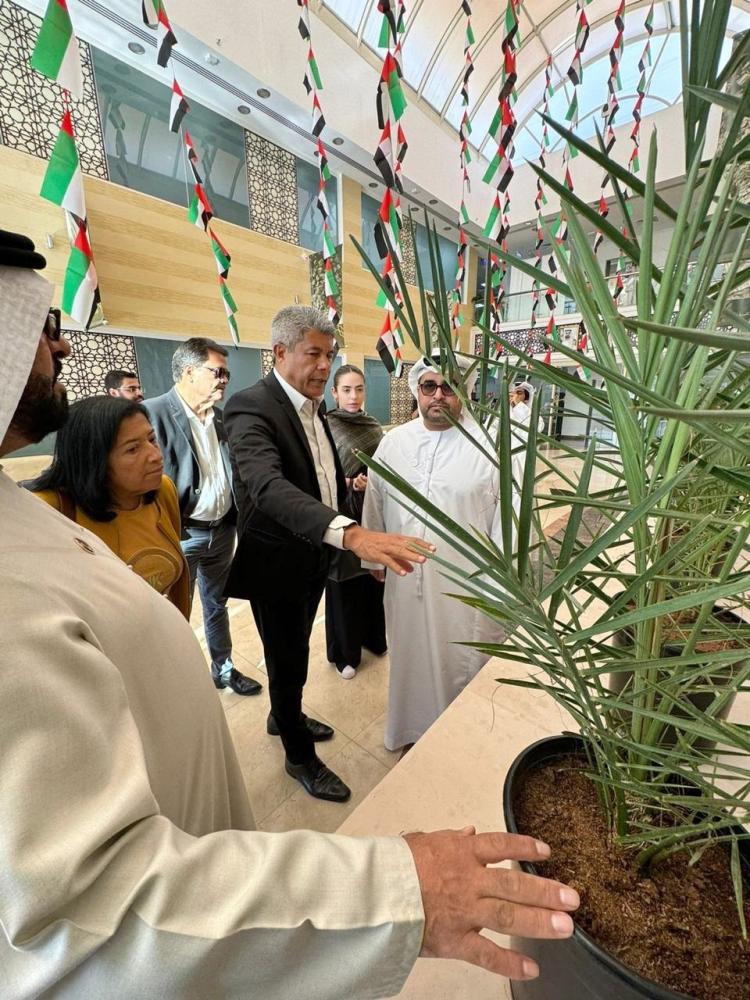 Nos Emirados Árabes, governador Jerônimo visita plantação de tâmaras que poderão ser produzidas na Bahia.