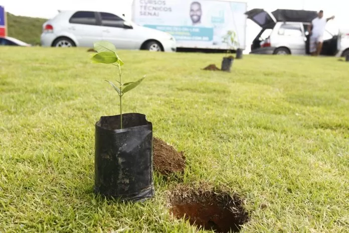 Governo da Bahia fortalece compromisso com o meio ambiente em evento internacional
