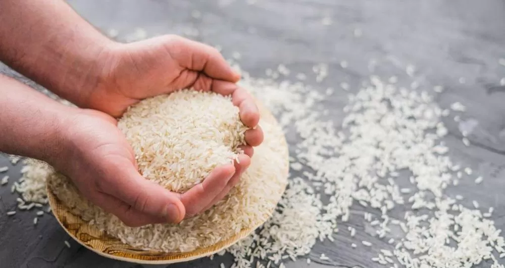 Governo Lula compra 260 mil toneladas de arroz e garante preço com teto de R$ 4 o quilo.