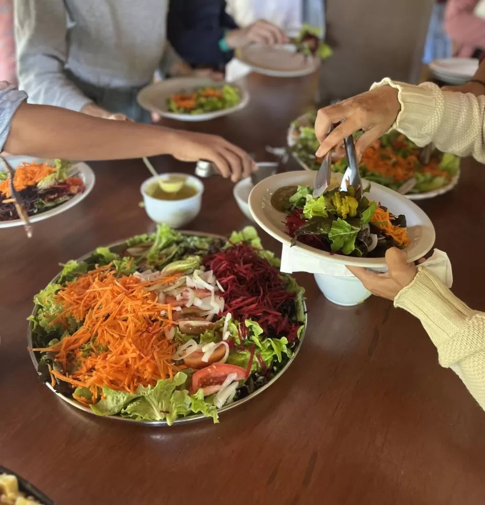 CHAPADA DIAMANTINA GANHA ESPAÇO DE CUIDADOS NATURAIS. 