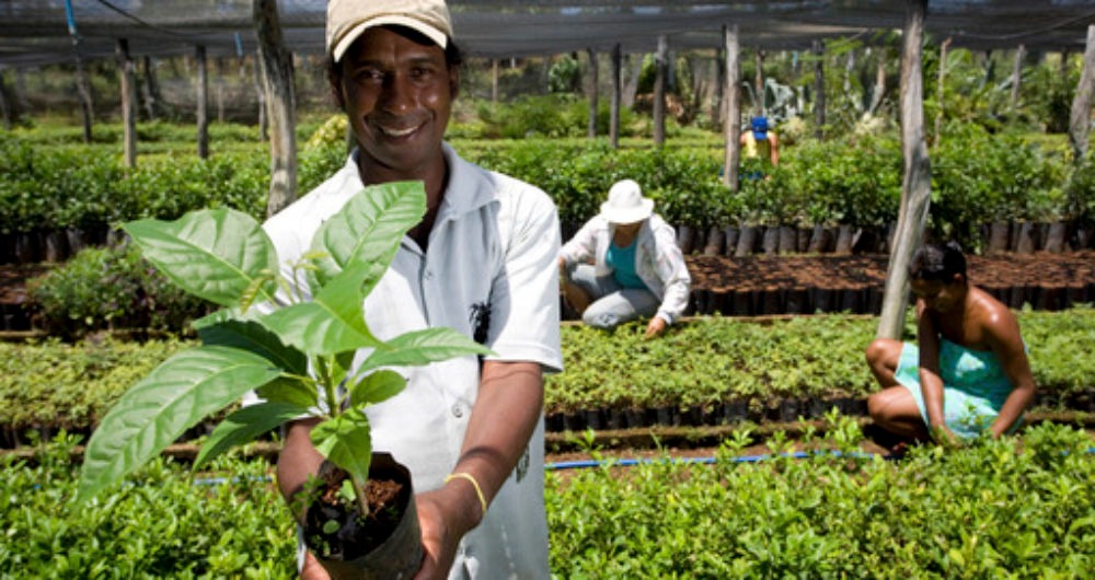 Mais de 130 mil famílias foram beneficiadas por programas da agricultura familiar nos últimos sete anos.