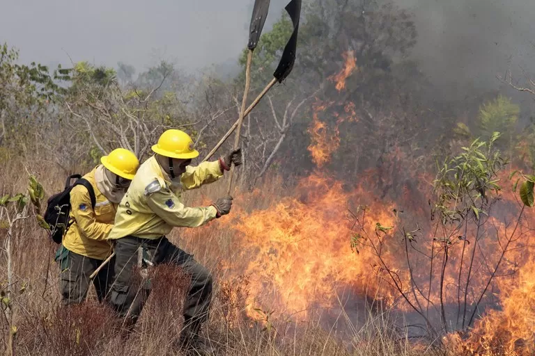 COMO COMBATER OS INCÊNDIOS GENERALIZADOS NO BRASIL E EVITAR QUE ELES SE REPITAM.