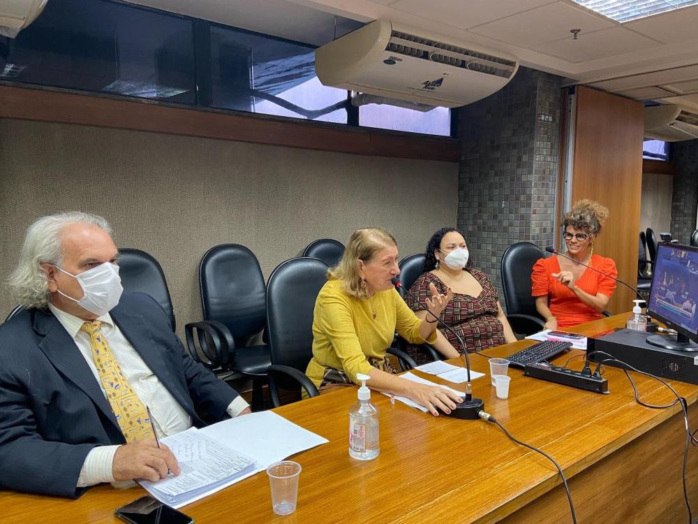 Audiência Pública discute impactos da Lei Federal 14.285/2021 sobre os rios baianos.