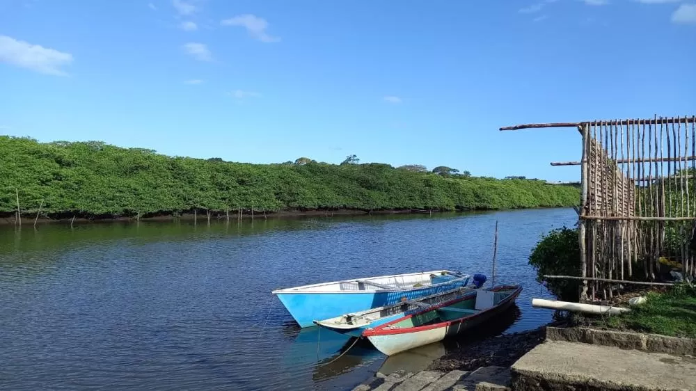 Comitê das Bacias Hidrográficas do Recôncavo Sul celebra primeira década com avanços na gestão hídrica.