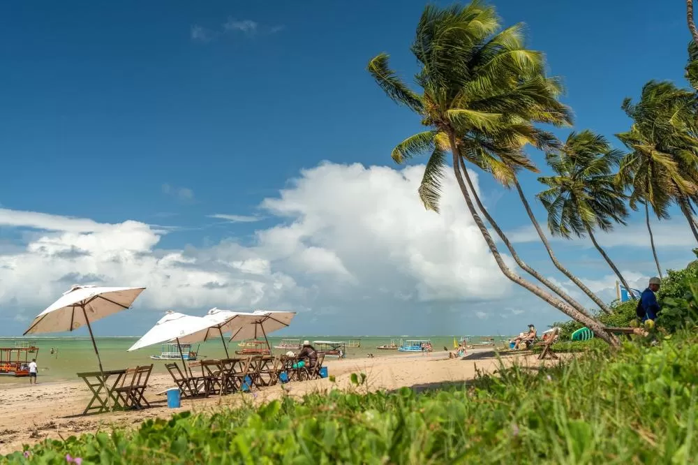 Presidente da Embratur comemora sanção de lei que pune empresas que colaborarem com turismo para fins de exploração sexual.