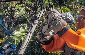 Distribuidoras da Neoenergia reforçam equipes e recursos na chegada de 2025.