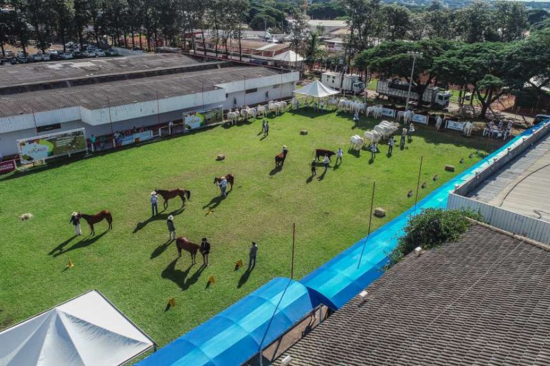 IDR-Paraná vai apresentar inovações tecnológicas durante a Expoingá 2022