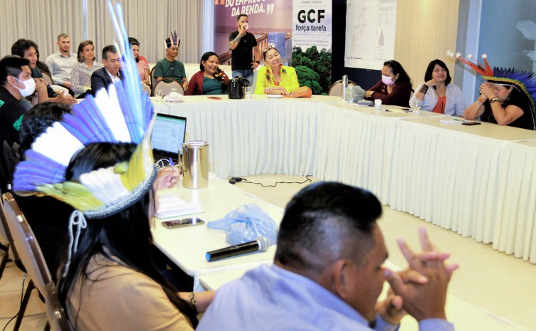 Com apoio do Governo do Tocantins, acesso a financiamentos internacionais e mercado de carbono pautam reunião com lideranças indígenas