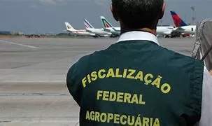  Auditores fiscais federais agropecuários inspecionam desembarque de 41 ararinhas-azuis no Aeroporto de Petrolina.