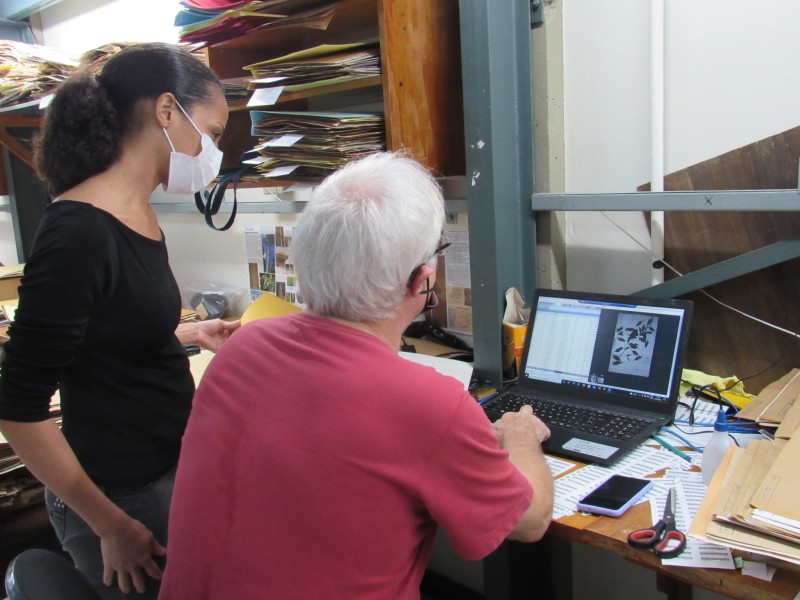 Governo do Amazonas apoia projeto que atualiza dados do Herbário do Inpa