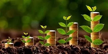 *Desafios e Oportunidades na Agricultura do Sul da Bahia: Uma Reflexão Sobre o Custo de Vida e a Produção Local*