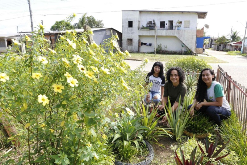 Em Codajás, professora da rede estadual utiliza educação ambiental e transforma lixeira viciada em jardim