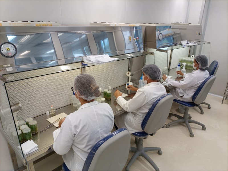 Acervo de germoplasmas vegetais do CBA recebe informatização do Governo do Amazonas