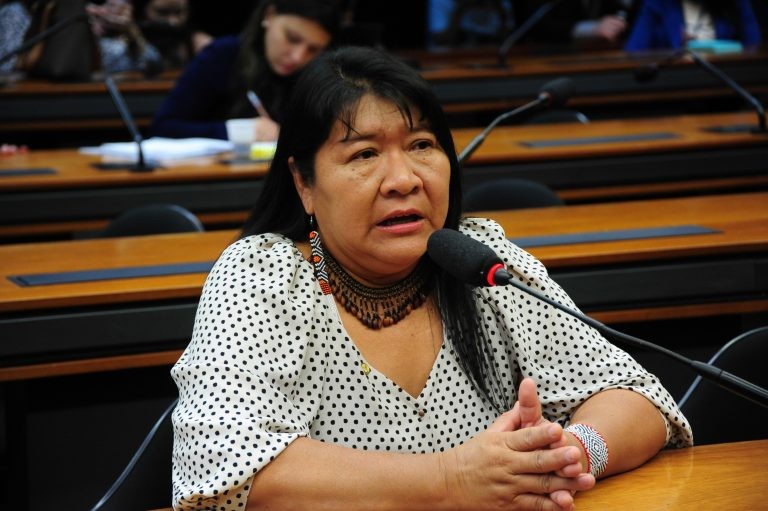 CCJ cria grupo de trabalho para acompanhar situação de povos Yanomami
