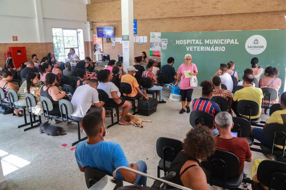 Hospital Veterinário de Salvador celebra um ano de inaugurado com mais de 50 mil animais atendidos.