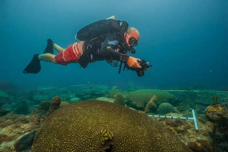 Brasil promove Semana da “Cultura Oceânica em Pauta” com foco em inovação, clima e educação.