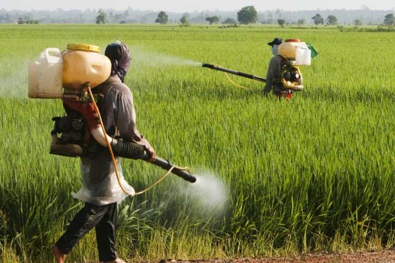 Comissão debate uso de agrotóxicos e direito humano à alimentação adequada