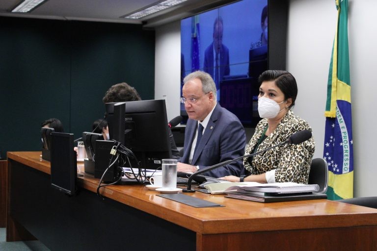 Grupo de trabalho debate semipresidencialismo com estudiosos sobre sistemas de governo
