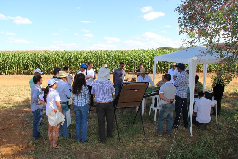 Semana de Integração Tecnológica terá cursos on-line da Emater-MG