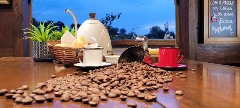 Mulheres se unem para fortalecer a produção de café especial  no Sul de Minas 