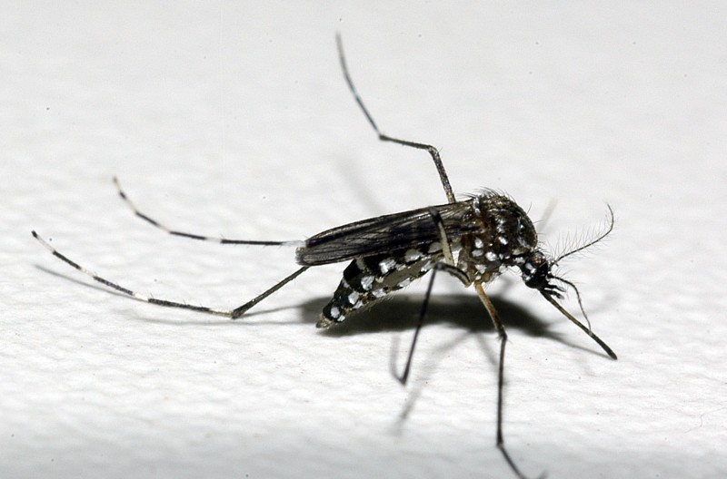 Saúde mobiliza Passos e municípios para evitar epidemia de dengue