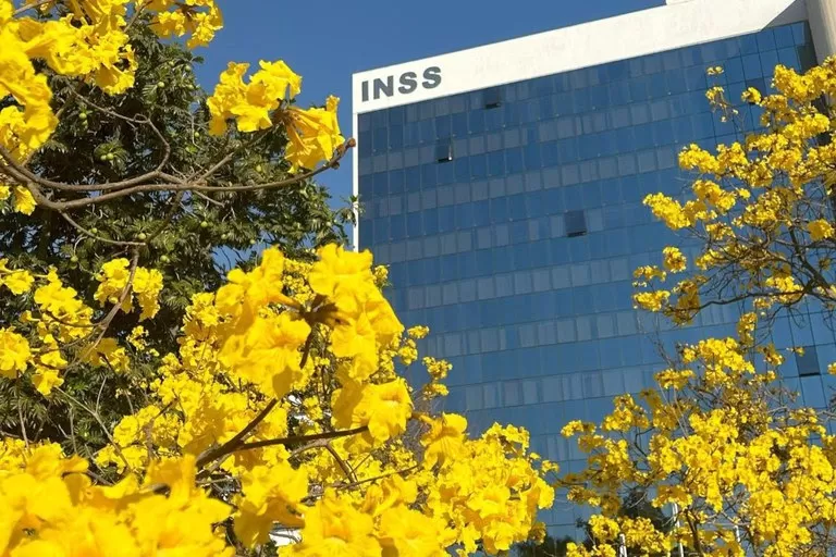 Mais de 55 mil aposentados e pensionistas na Bahia já aderiram ao acordo de ressarcimento do INSS.