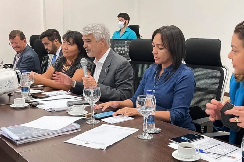 Senadores em Boa Vista para investigar violência contra ianomâmis