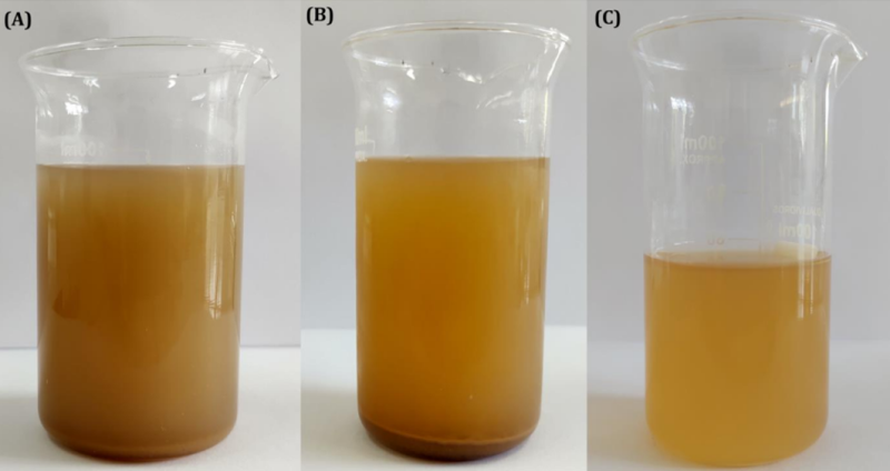 Pesquisa apoiada pelo Governo do Estado utiliza frutos amazônicos na produção de materiais com aplicações biomédicas