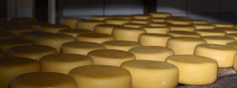 Dia dos Queijos Artesanais de Minas é comemorado nesta segunda-feira (16/5)