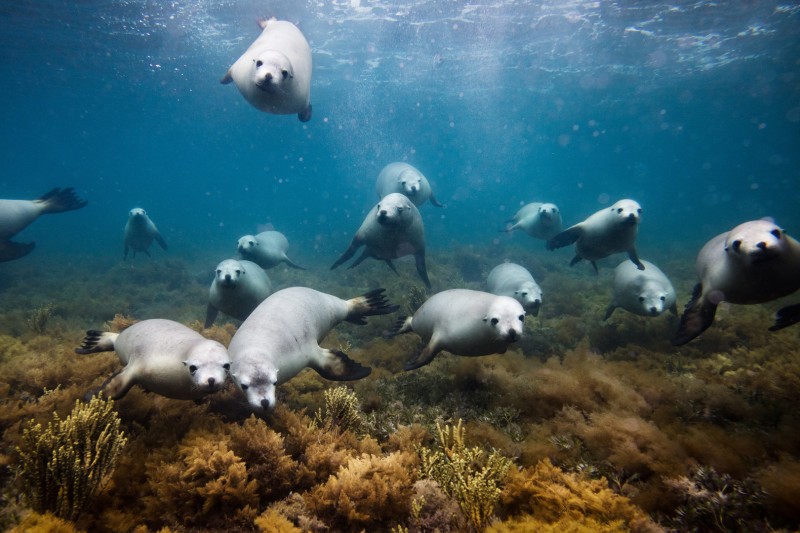 Marina Week, maior evento do mar no Brasil, acontece de 1 a 5 de junho