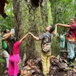 Quilombolas no Pará enfrentam projeto de aterro sanitário em área suspeita de grilagem.