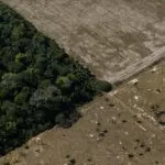 Fim da moratória da soja ameaça indígenas, enquanto ministério foca em demarcações e COP30.