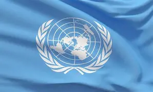 77 Anos da Declaração Universal dos Direitos Humanos. 