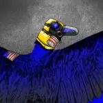 Aves infectadas com vírus teriam sido testadas pelos EUA como armas biológicas no Brasil.