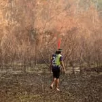 Novo licenciamento ambiental é desregulação e pode chegar ao STF, diz presidente do Ibama.