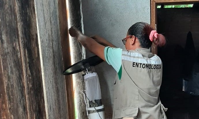 Saúde investiga caso de Leishmaniose Visceral Canina, em Nhamundá