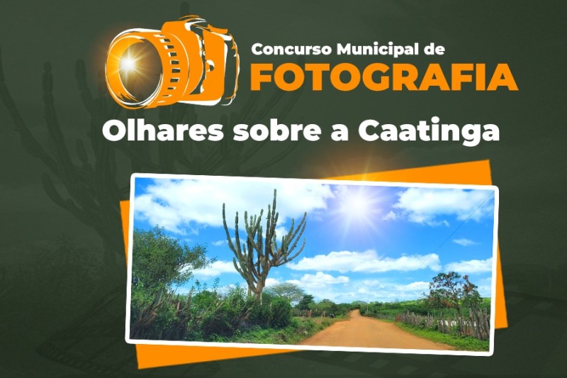 Concurso de Fotografias “Olhares sobre a Caatinga”: votação está aberta ao público até dia 23