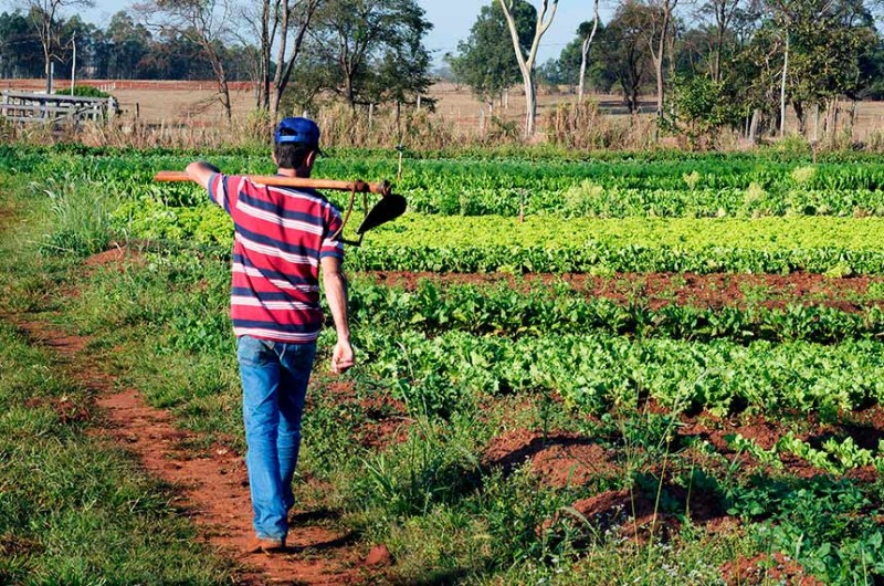 CAE pode votar renegociação de dívidas de produtores rurais com o Ibama