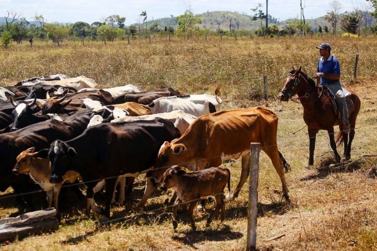 Projeto destina R$ 524 milhões ao Proagro, mas risco de falta de recursos continua