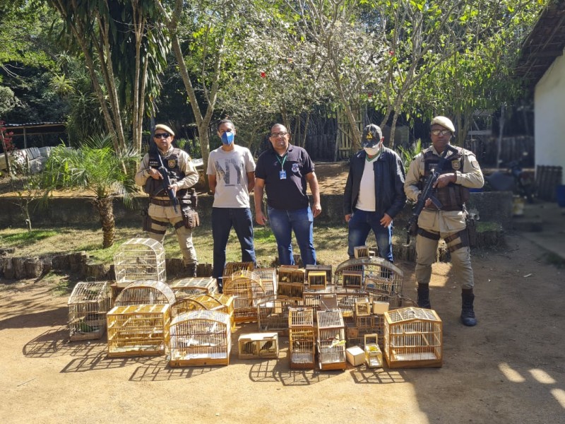Semma e PM apreendem dezenas de pássaros silvestres na Operação Aves da Caatinga