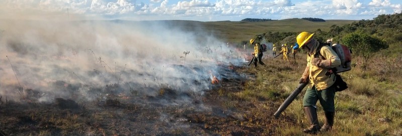 Treinamento capacita brigadistas para combate a incêndios florestais