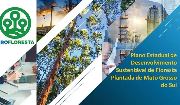 Governo lança PROFLORESTA para potencializar cadeia produtiva que gera 27,2 mil empregos em MS