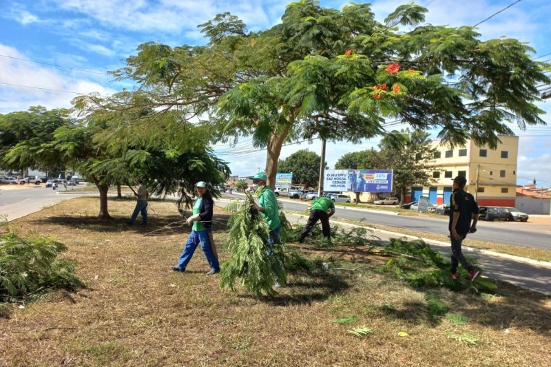 Secretaria de Meio Ambiente prossegue ações de cuidados com paisagismo em diversos espaços da cidade