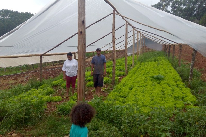 Renda Agricultor Familiar investe R$ 18 milhões para melhorar vida dos paranaenses do campo