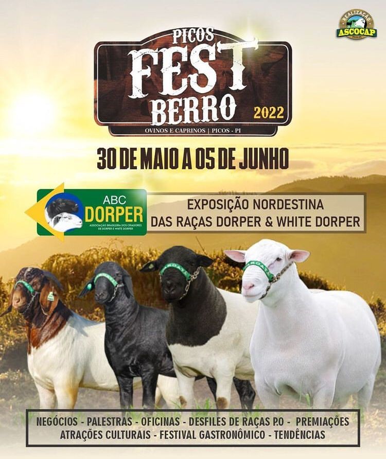 VII edição do Picos Fest Berro inicia na segunda (30)