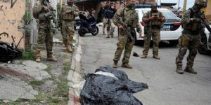 Basta de bestialidade!!!!