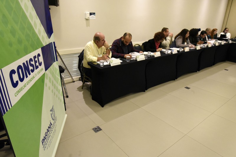Conselho Estadual de Cultura conclui gestão que atuou na pandemia