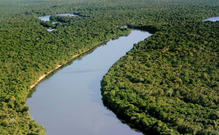 Governo do Tocantins realiza seminário sobre mudanças climáticas e mercado de carbono jurisdicional nesta sexta, 27