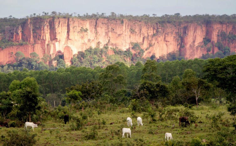 Tocantins soma 40 milhões em repasse do ICMS-Ecológico na Semana do Meio Ambiente