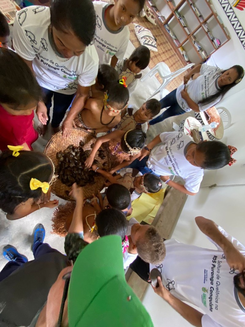 Mês do Meio Ambiente: Sema realiza atividades em Unidades de Conservação